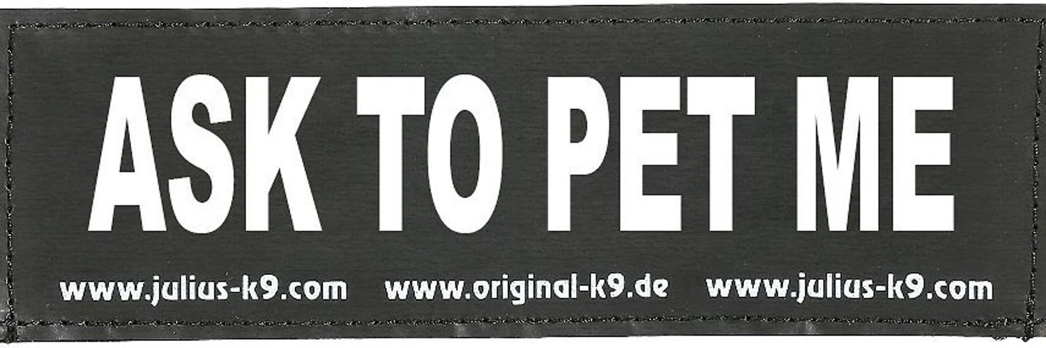 A Katt profile banner