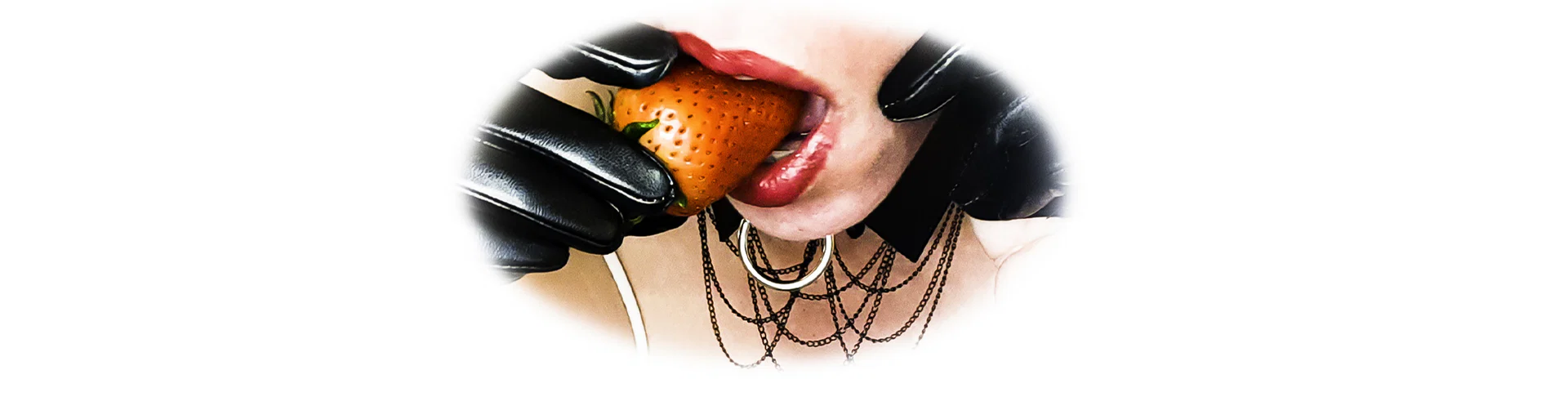 Ta lapine préférée profile banner
