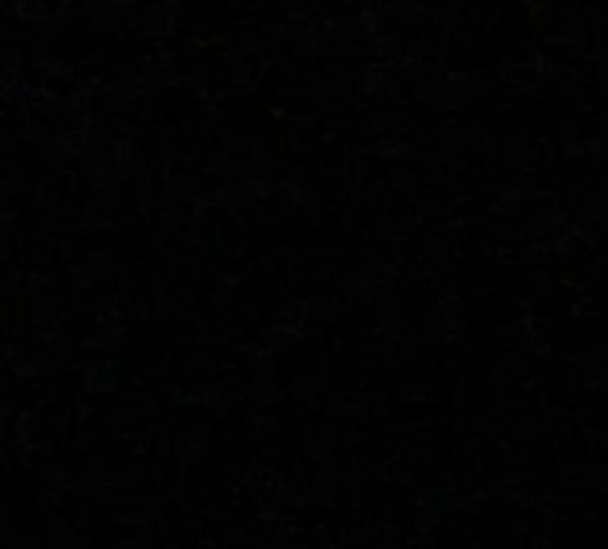 S.B.B.T. profile banner