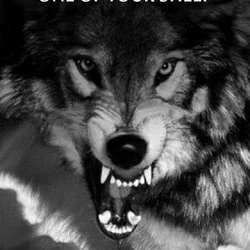 Lonewolf001999's avatar