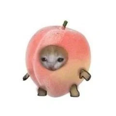 Princess Peach's avatar