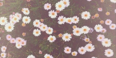 - profile banner