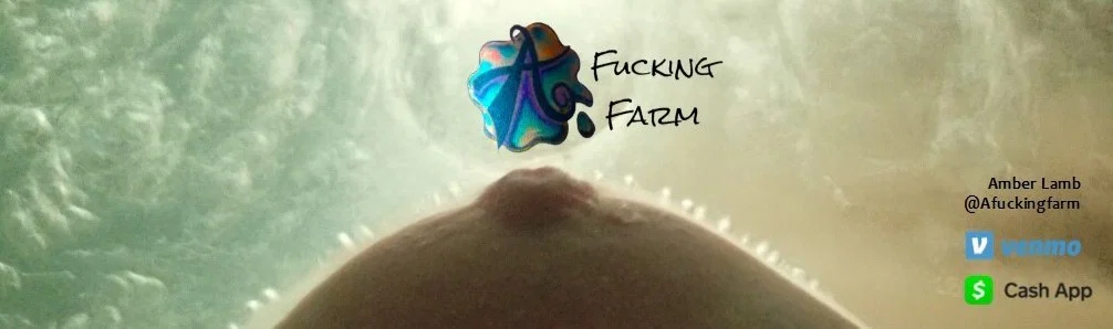 Amber Lamb profile banner
