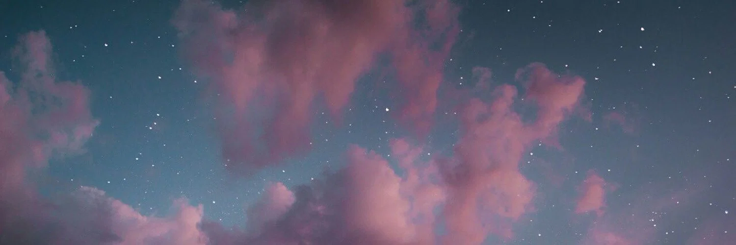 Laurien profile banner