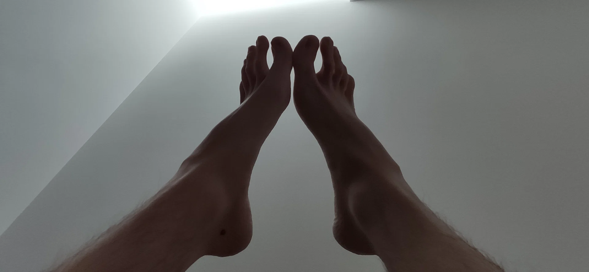 Kongy's Feet Emporium profile banner