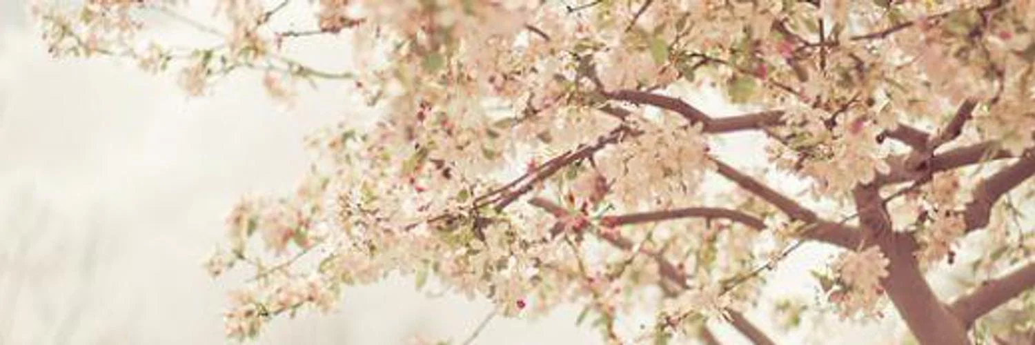 Minie profile banner