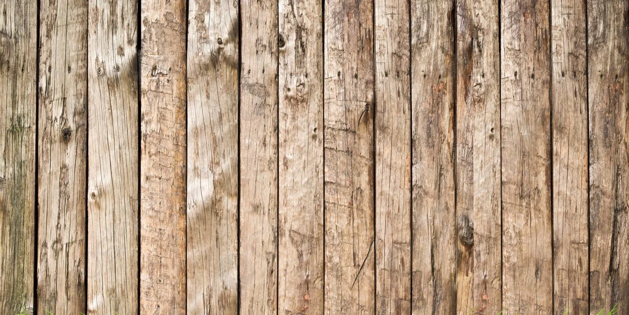 Cat Mommmyy profile banner