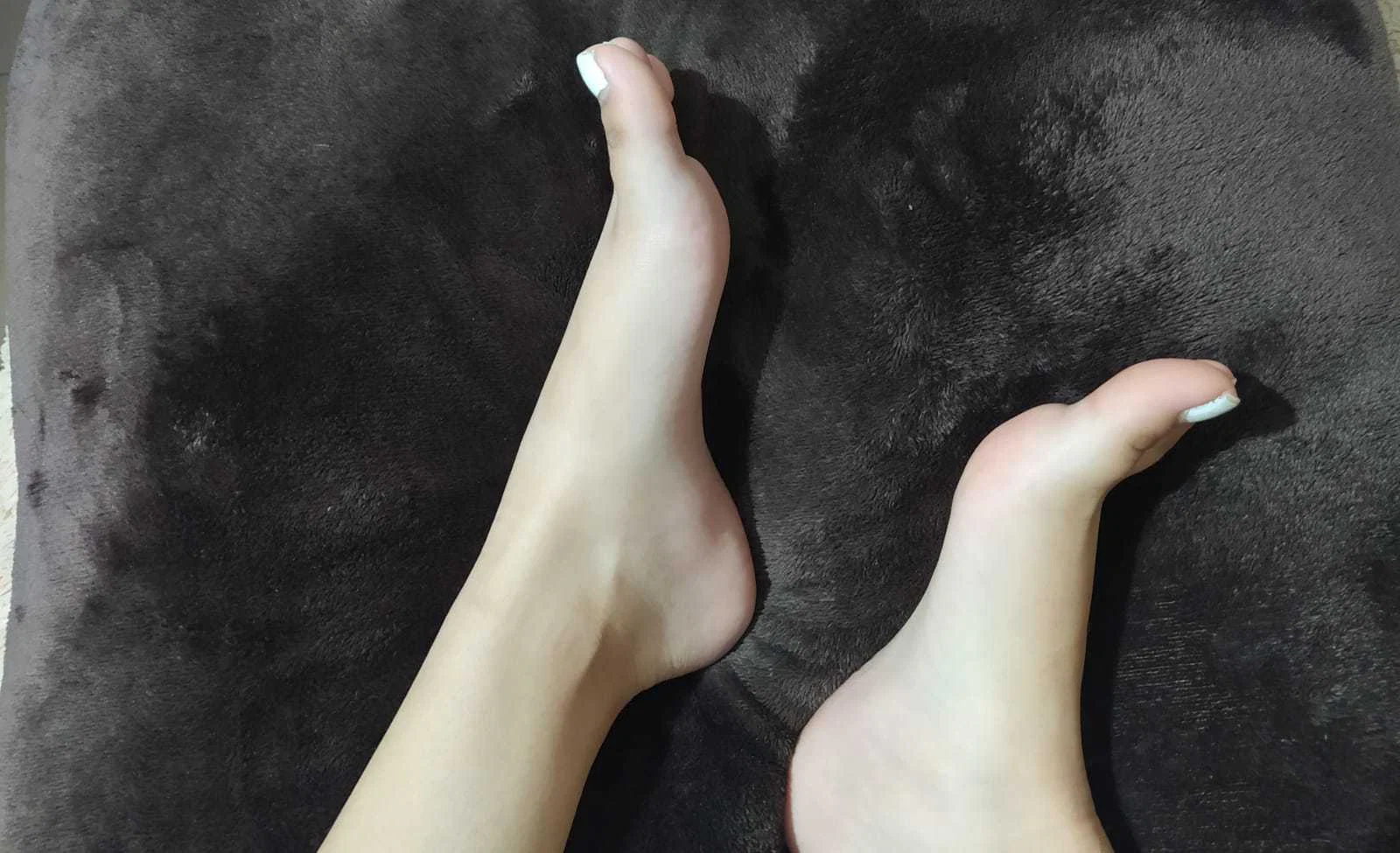 Latin Feet profile banner