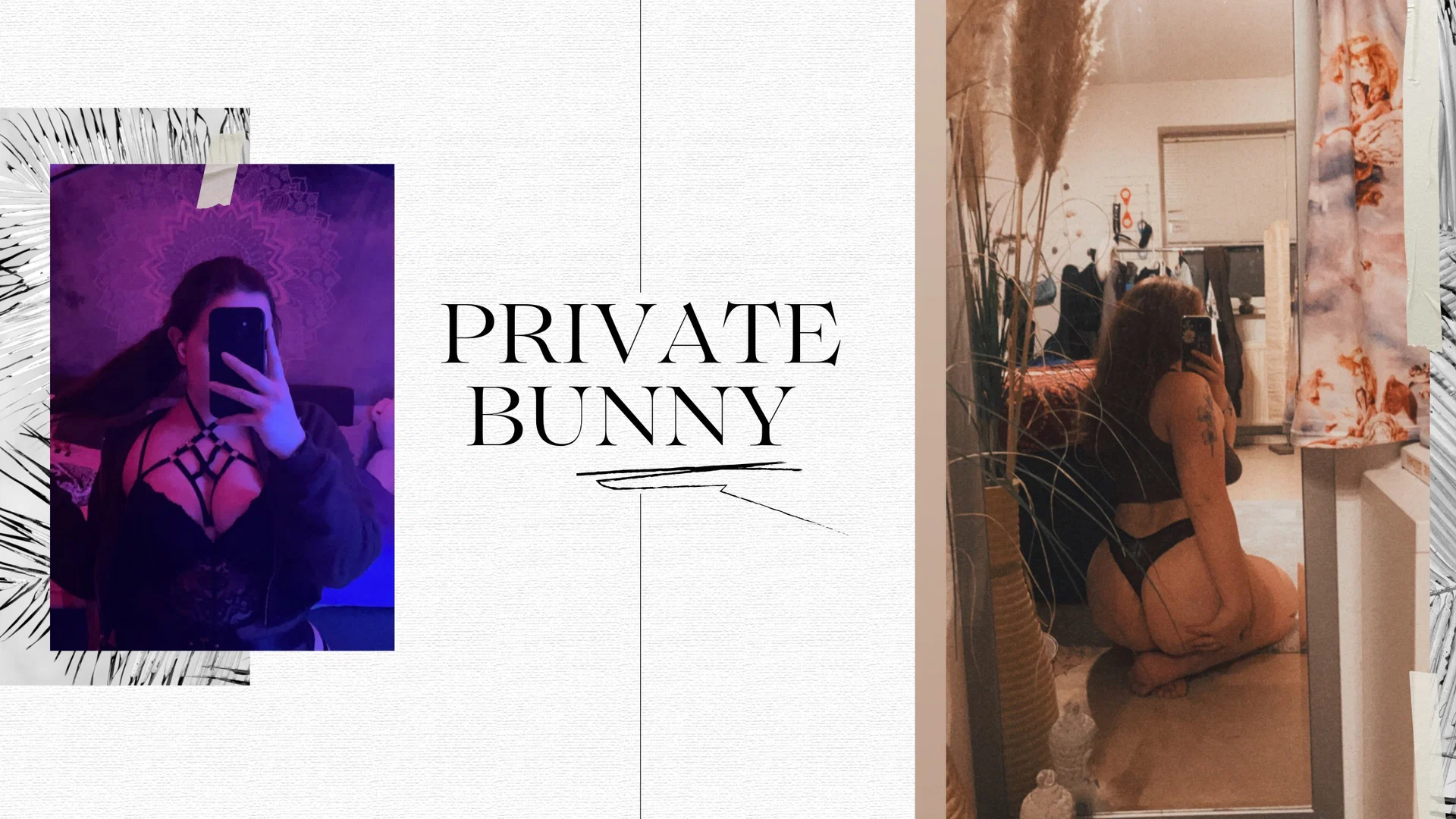privatebunny🐰 profile banner