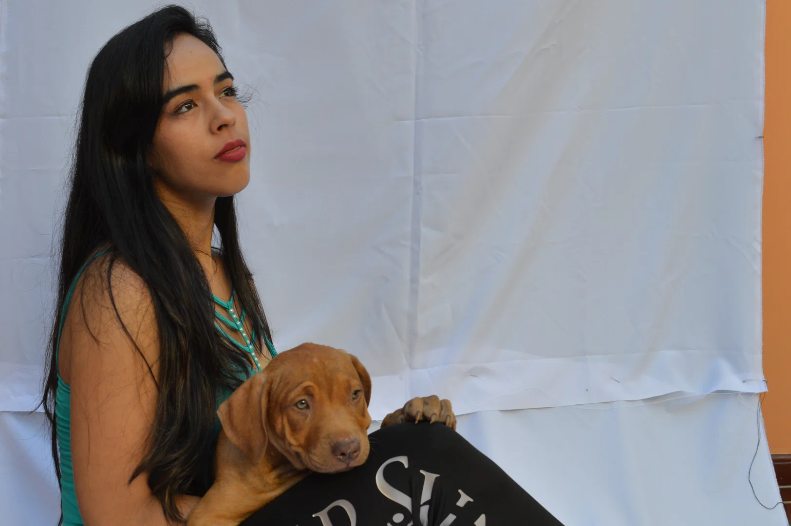 GINA ANTONELLA profile banner