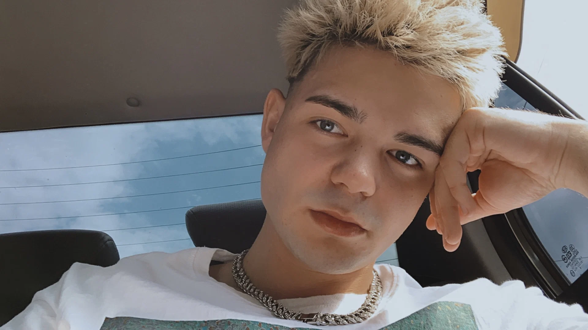 Тема profile banner