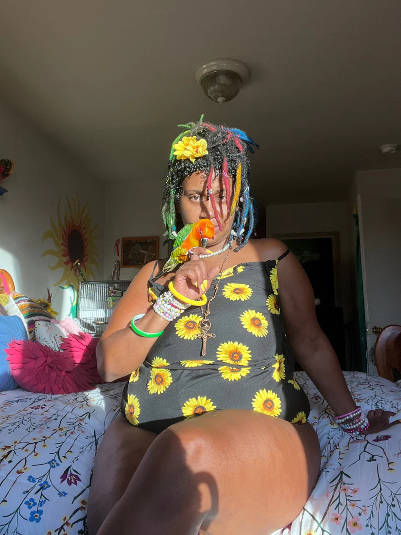 universallovvvve🎨🌻✨🌱🌵🦋💓🪶 profile banner