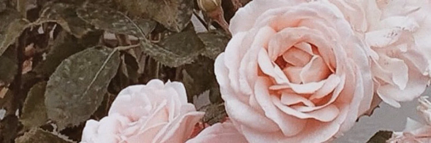 SECRET BOY profile banner