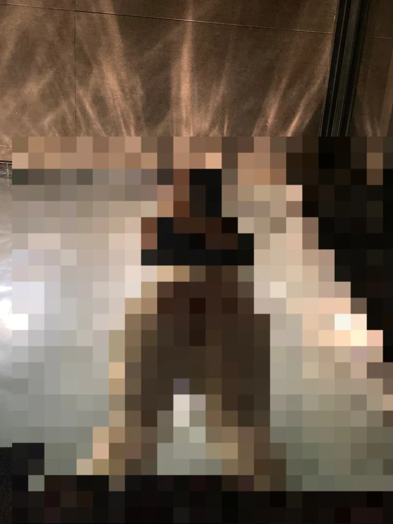 .*•🧚🏼♀️•*. profile banner