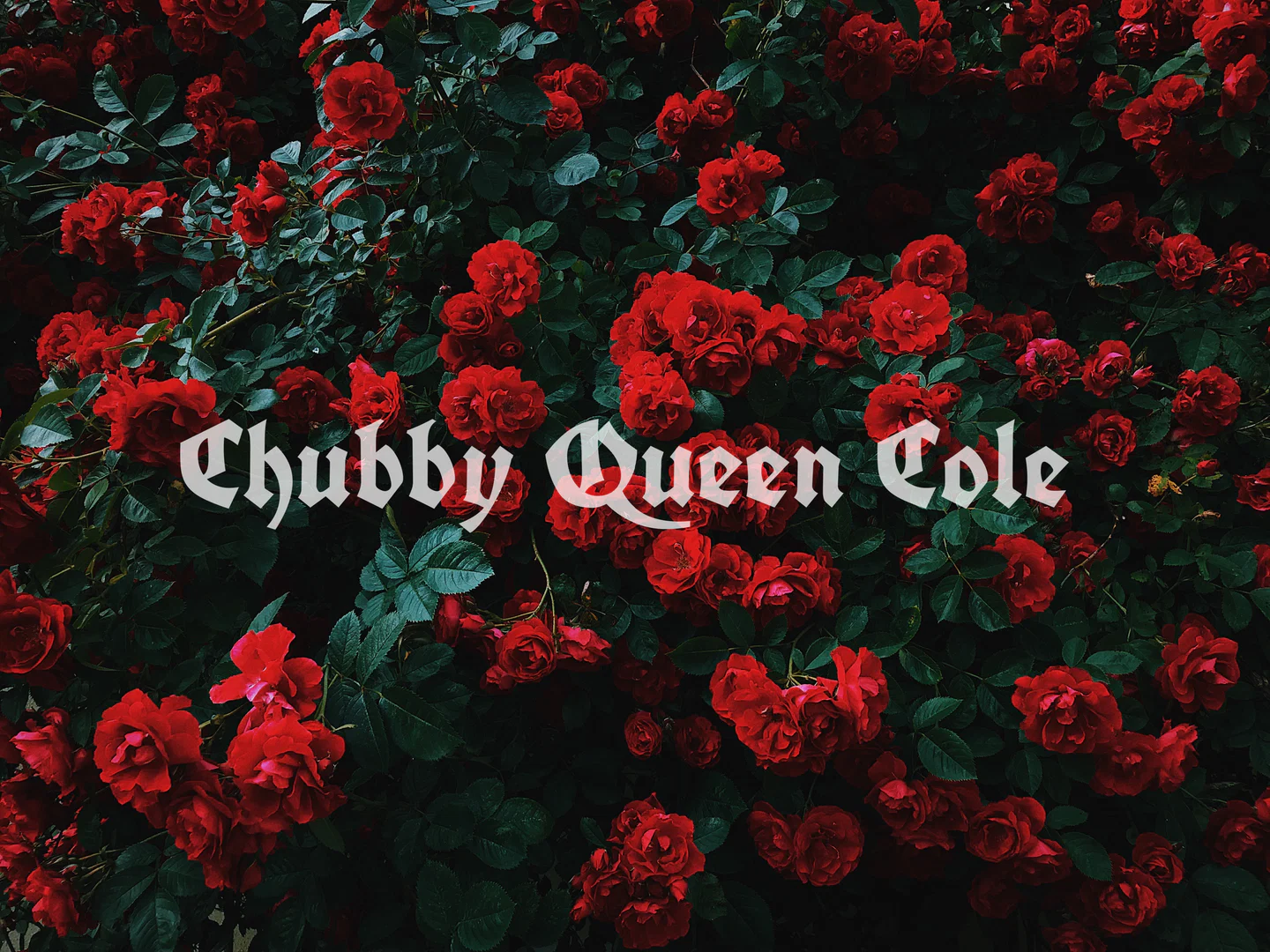 Chubby Queen Cole profile banner