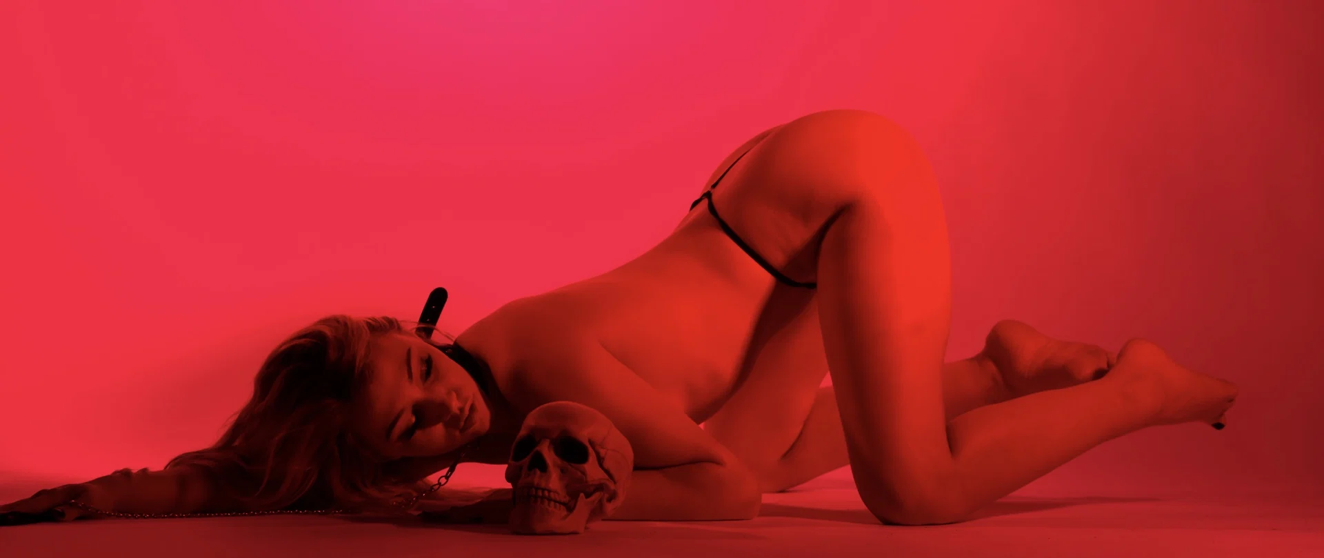 katia profile banner