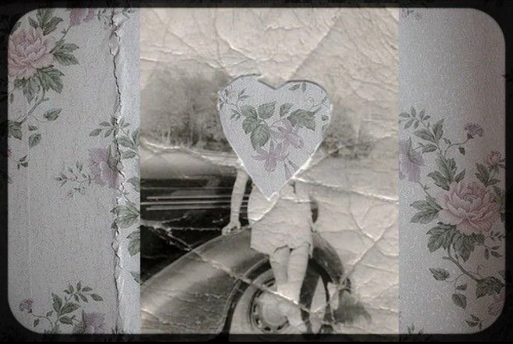 bunni profile banner