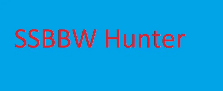 SSBBW Hunter profile banner