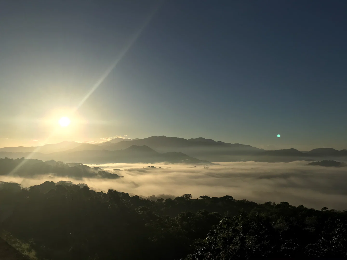 LeYardi🌞🇯🇲 profile banner