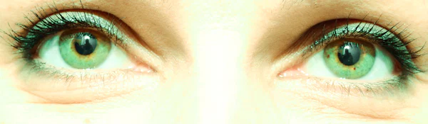 Misssophiegreen profile banner
