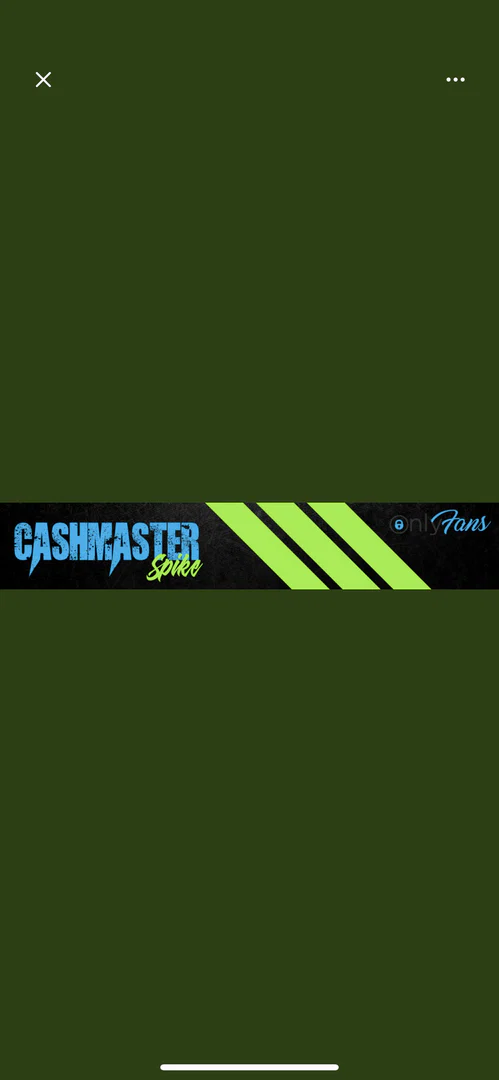 Spike Spiegel profile banner