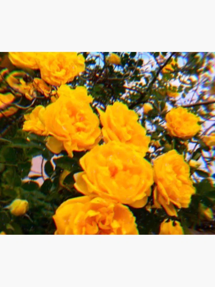 ItsK&K profile banner