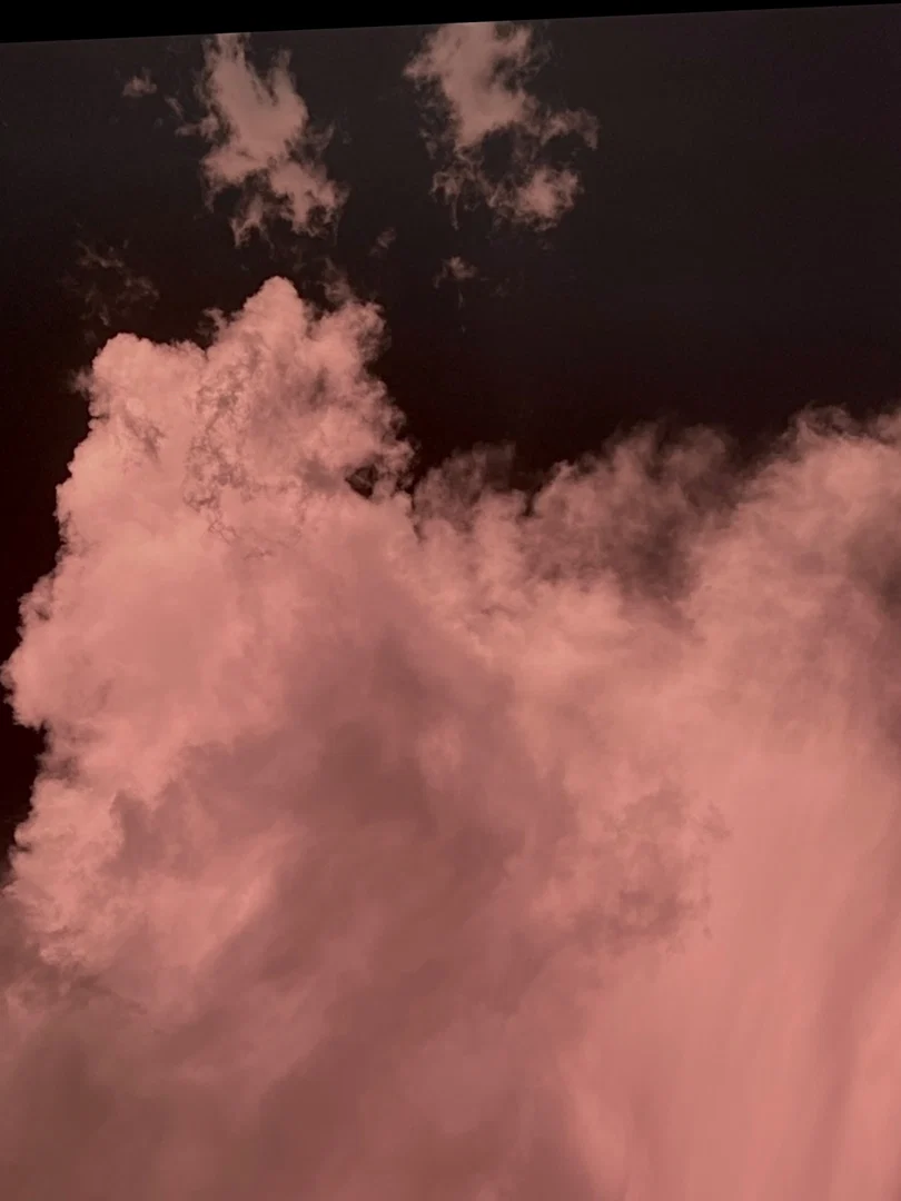 Maple🖤 profile banner