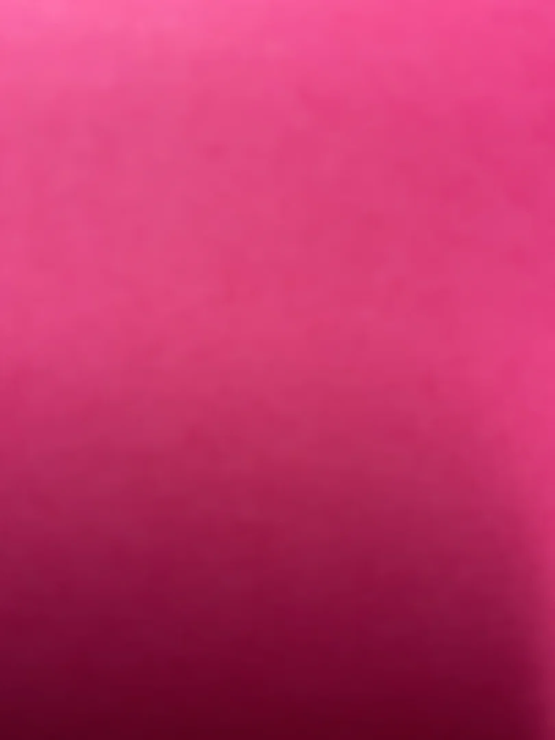 Ladybug profile banner