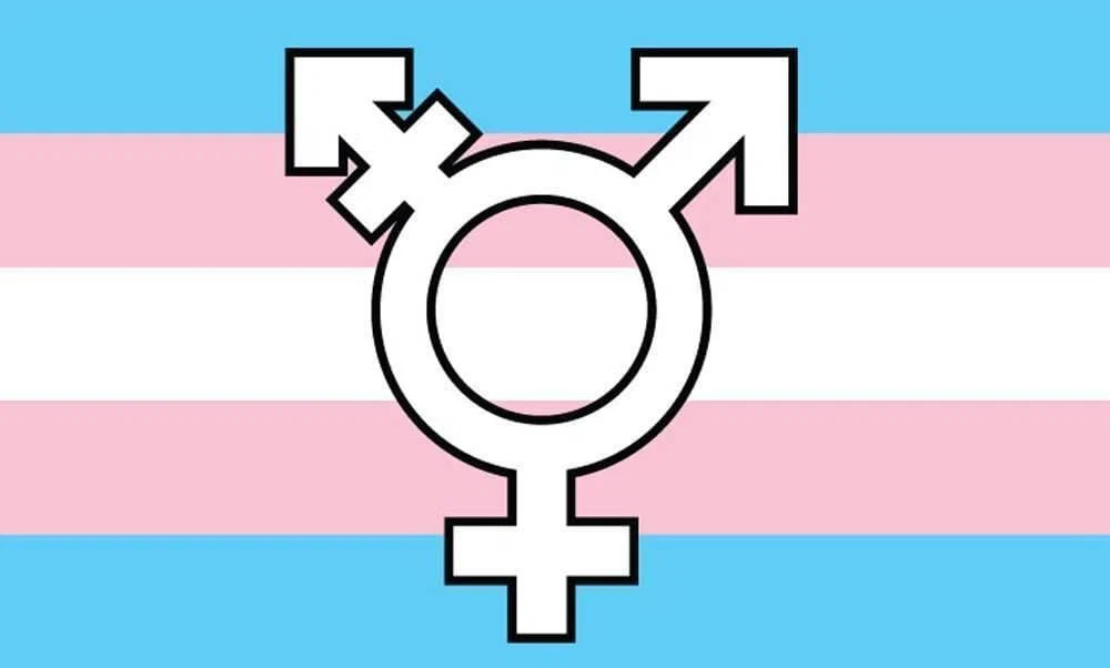 RinTranstastic profile banner