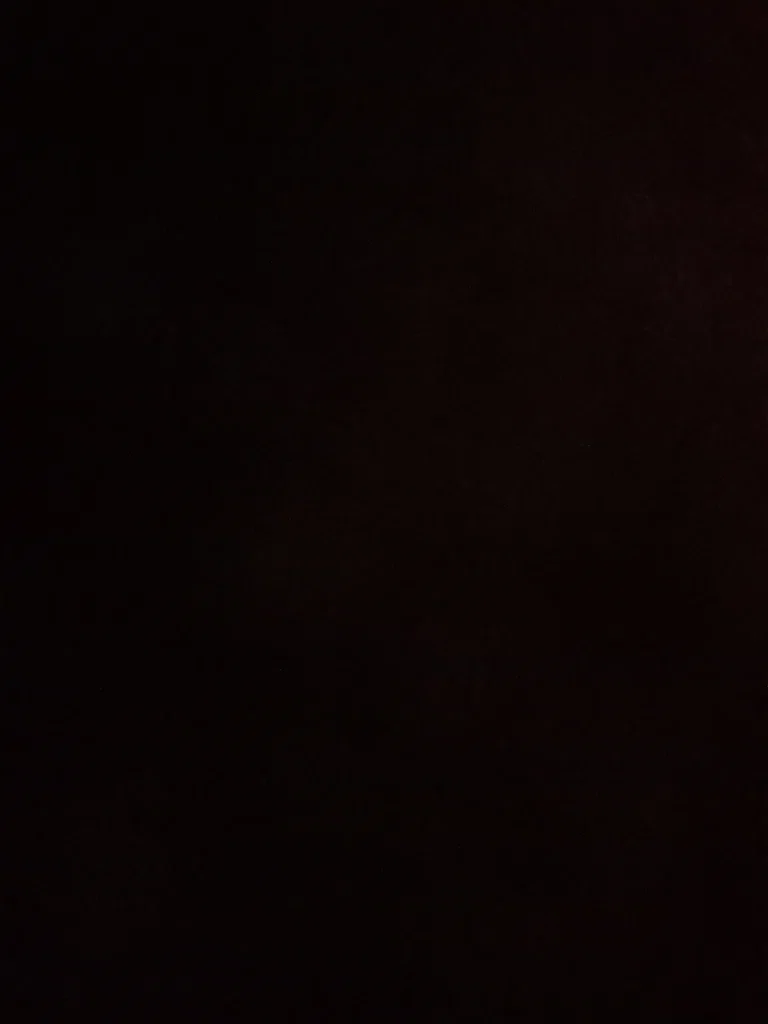 Sasha's avatar