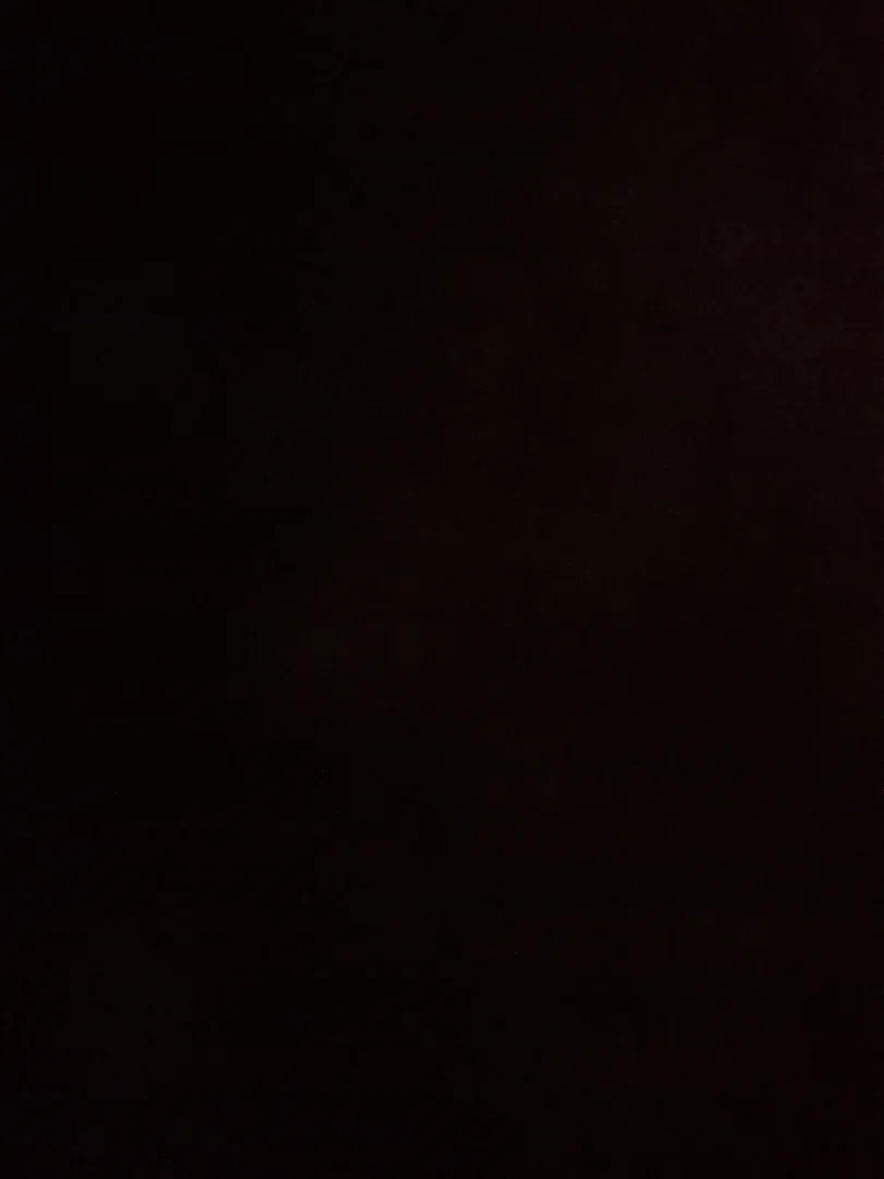 Sasha profile banner