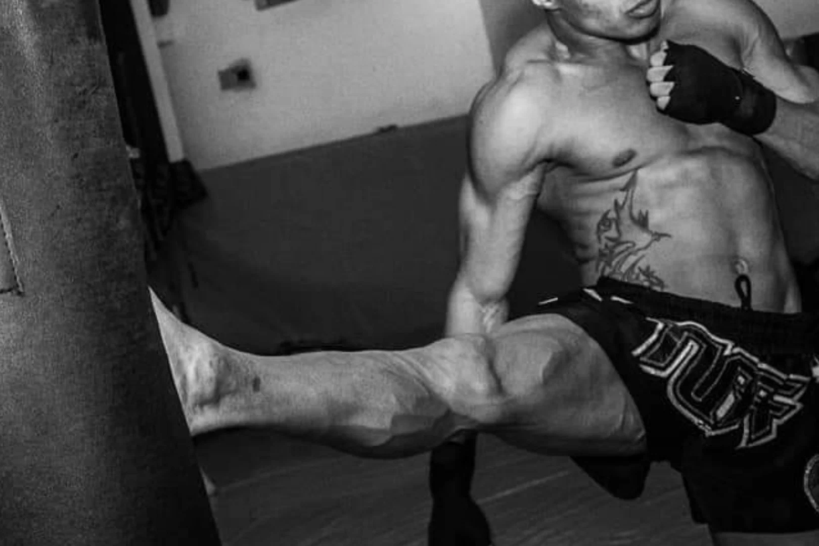 Brazilian Trainer profile banner
