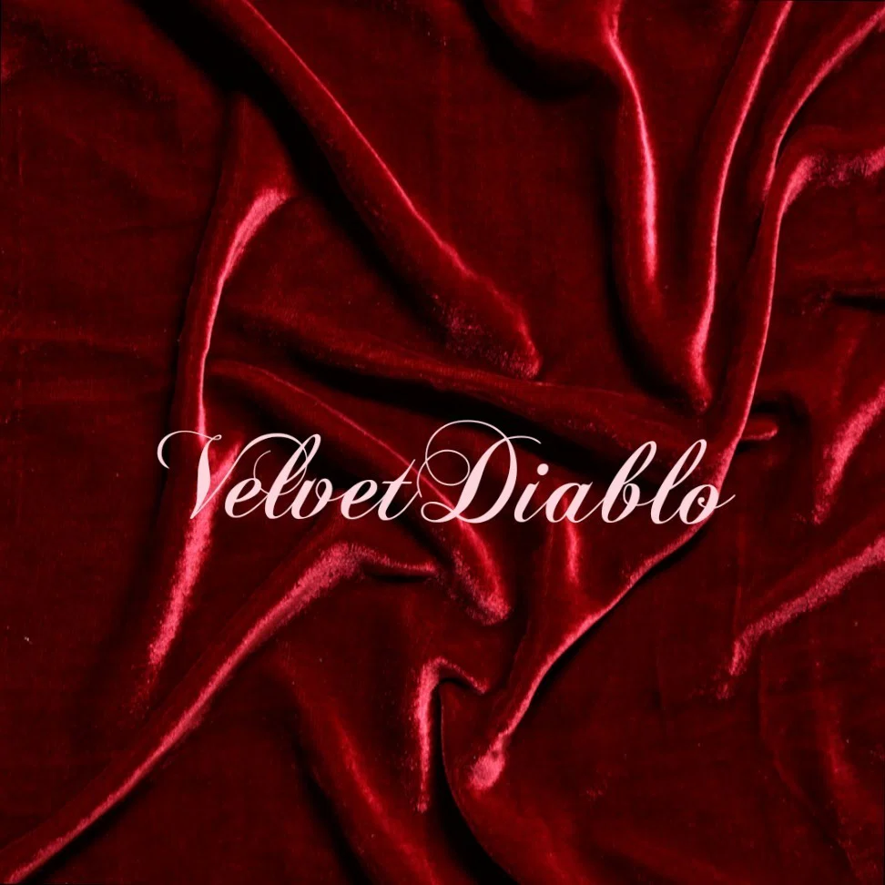 ⎛⎝ Velvet⎠⎞ profile banner