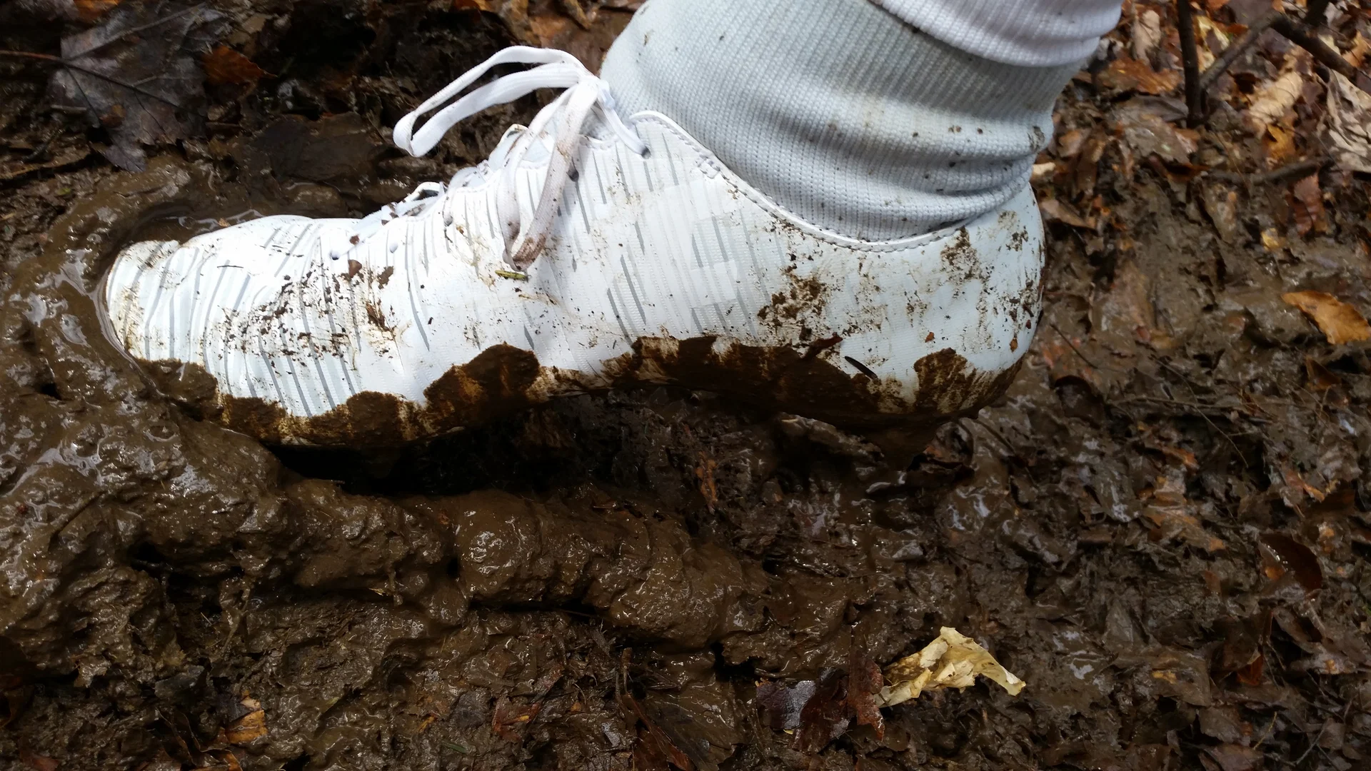 IslanderMud profile banner