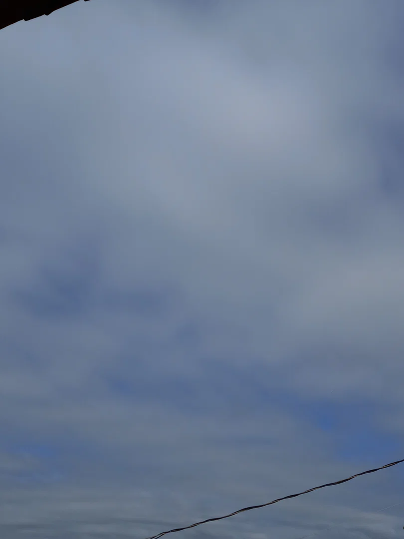Chocolate Booty profile banner