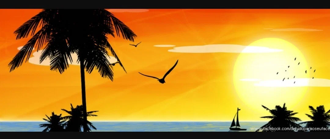 Lady Oliveira profile banner