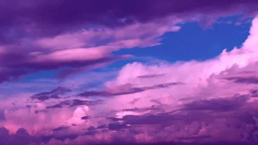 Purple-cotton profile banner