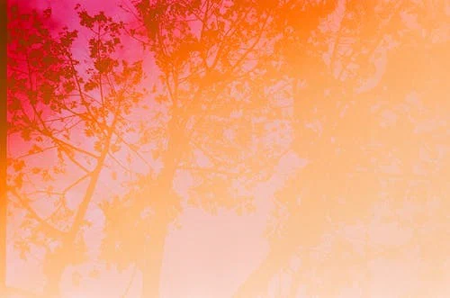 Alex LaRusso profile banner