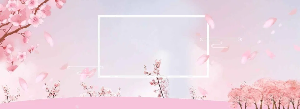 Seraphina Cruz profile banner