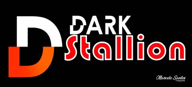 Dark Stallion profile banner