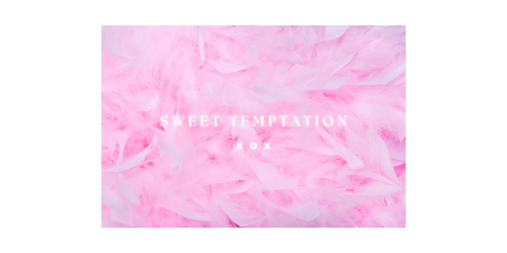 Angel Face π« profile banner