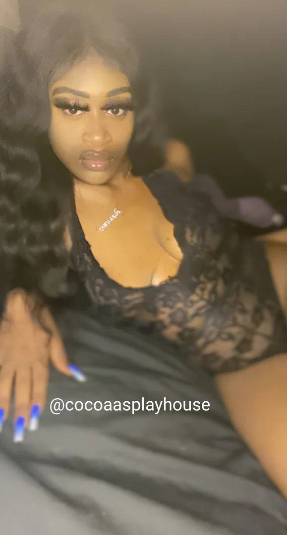 Cocoaapuffs🤍🍫 profile banner