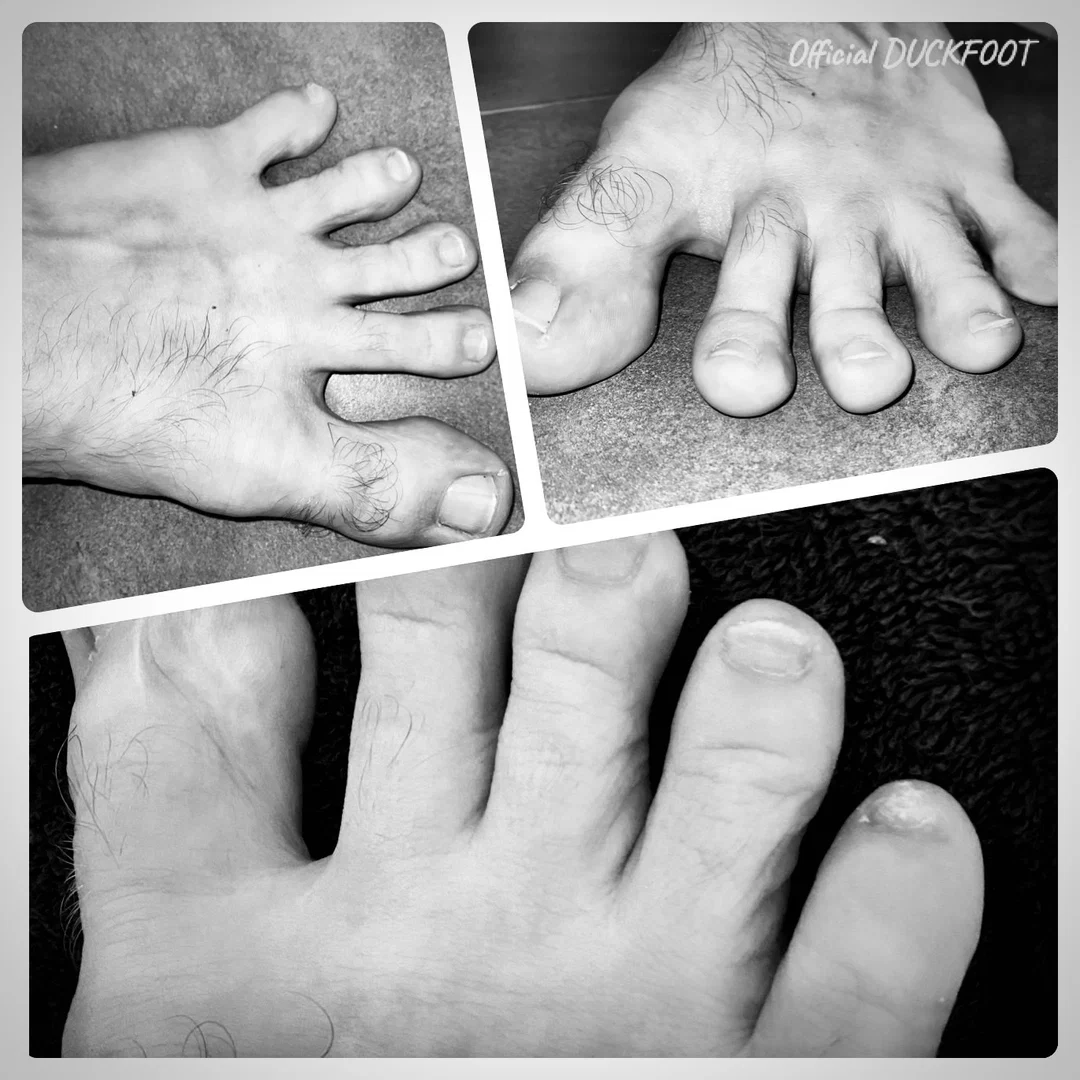 Official Duckfoot 🦆 profile banner