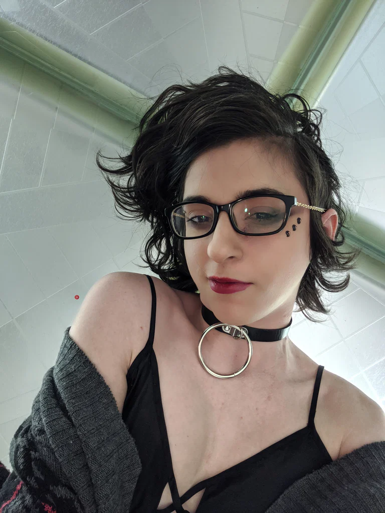 Wren rose's avatar