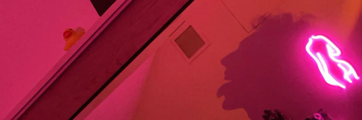 Flaka profile banner