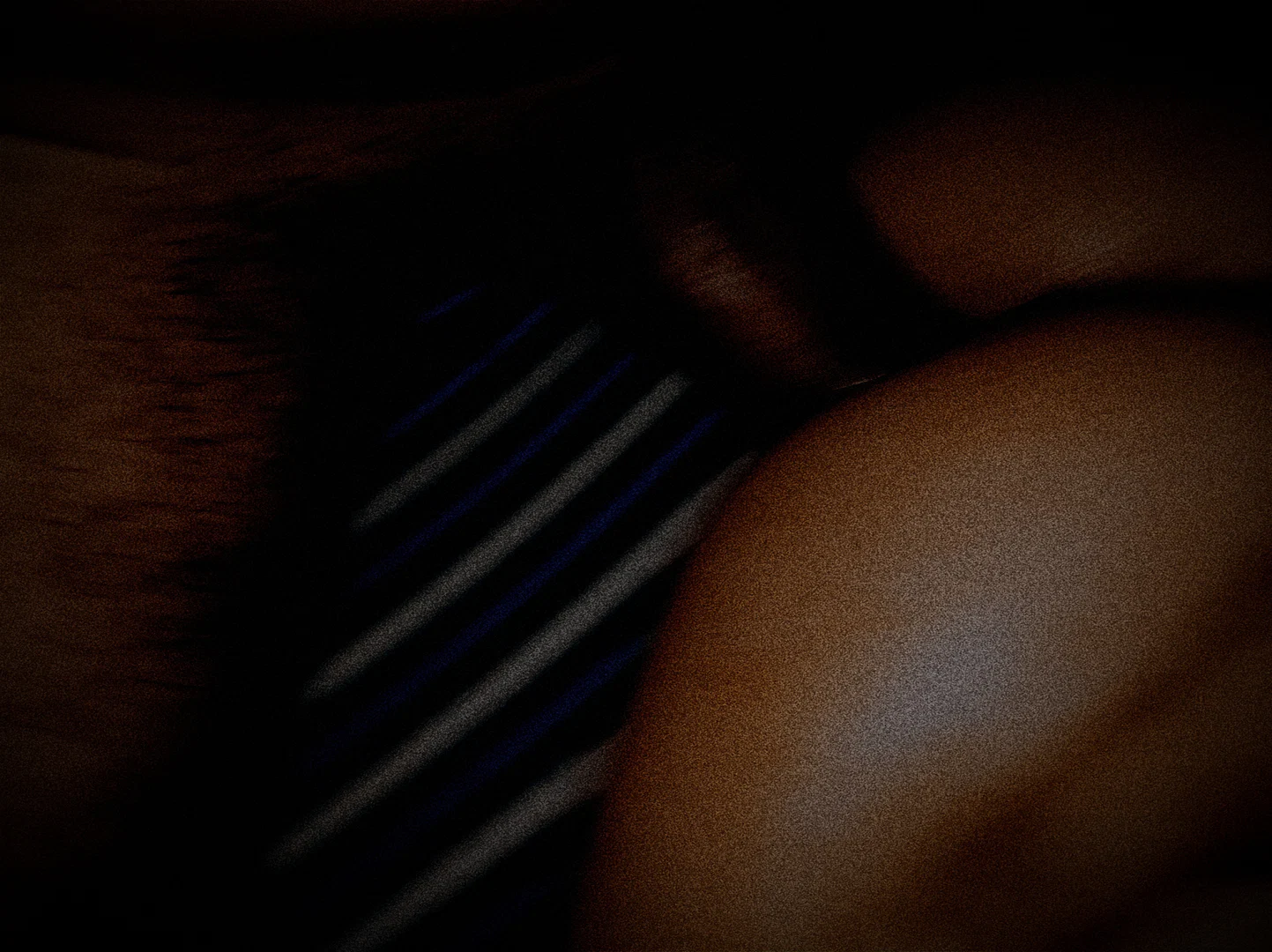 Boyfriend profile banner