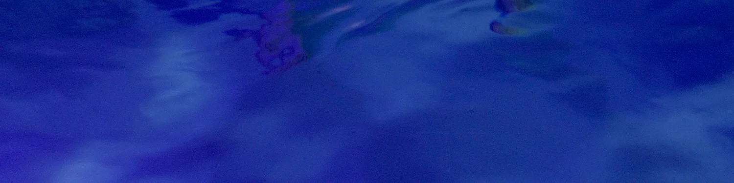Gruenholtz profile banner