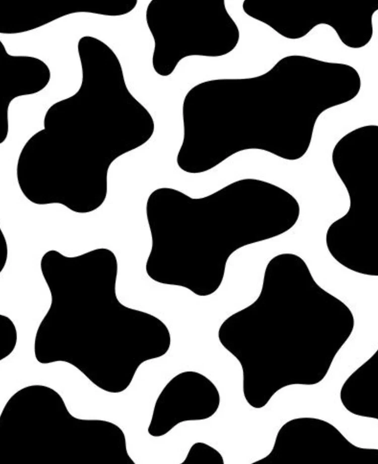 Miss Betsy Bell profile banner