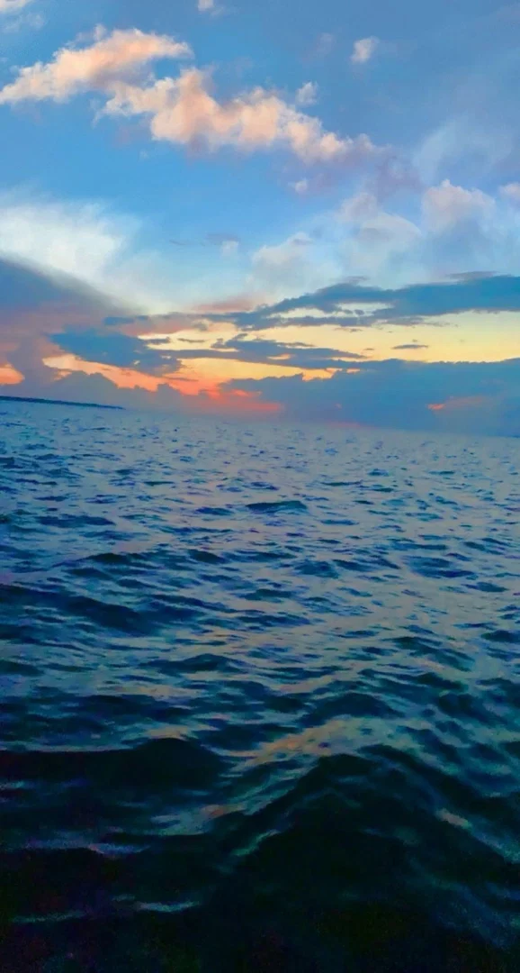 victoria harris profile banner