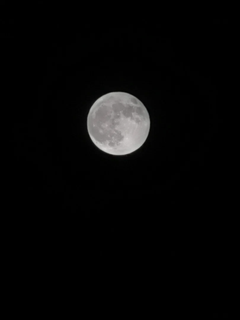 u8112671 profile banner